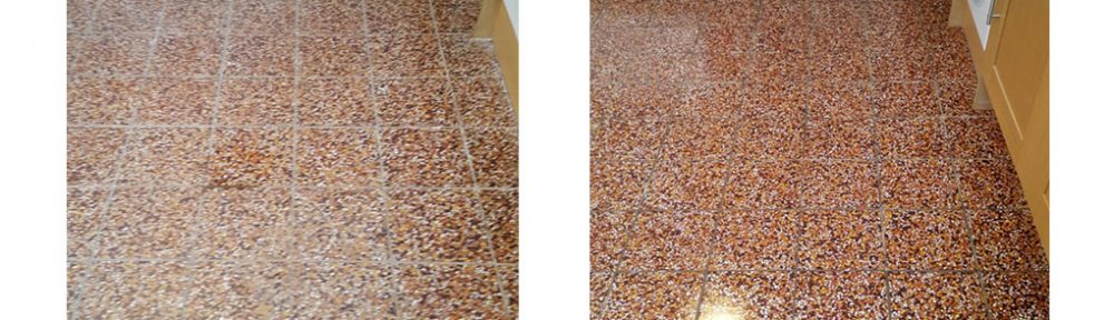 Colourful Terrazzo Tiles Cleaned and Sealed in Bosley